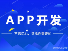 南京鼎程信息-APP开发